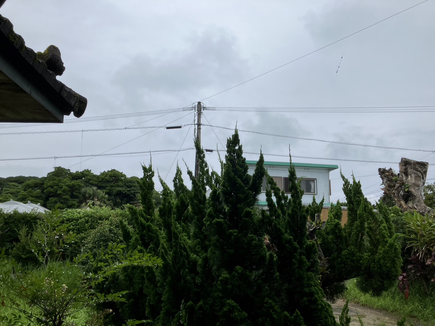 梅雨の合間に、、、☔