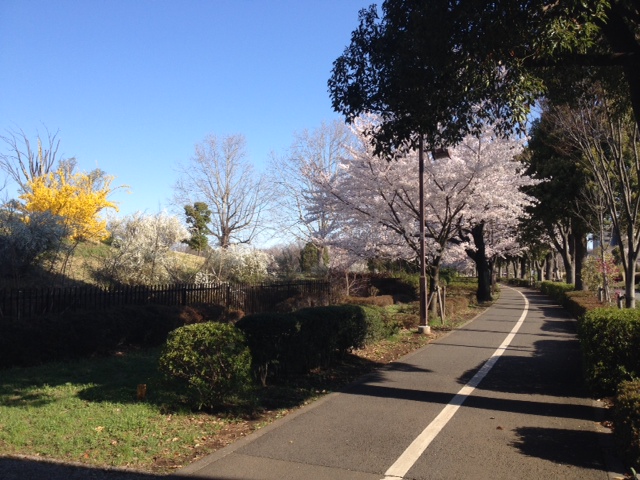 市川　康弘の自己紹介