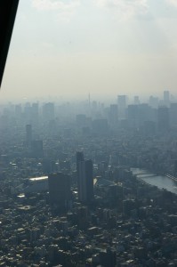 東京ｽｶｲﾂﾘｰ1月22日 (9)