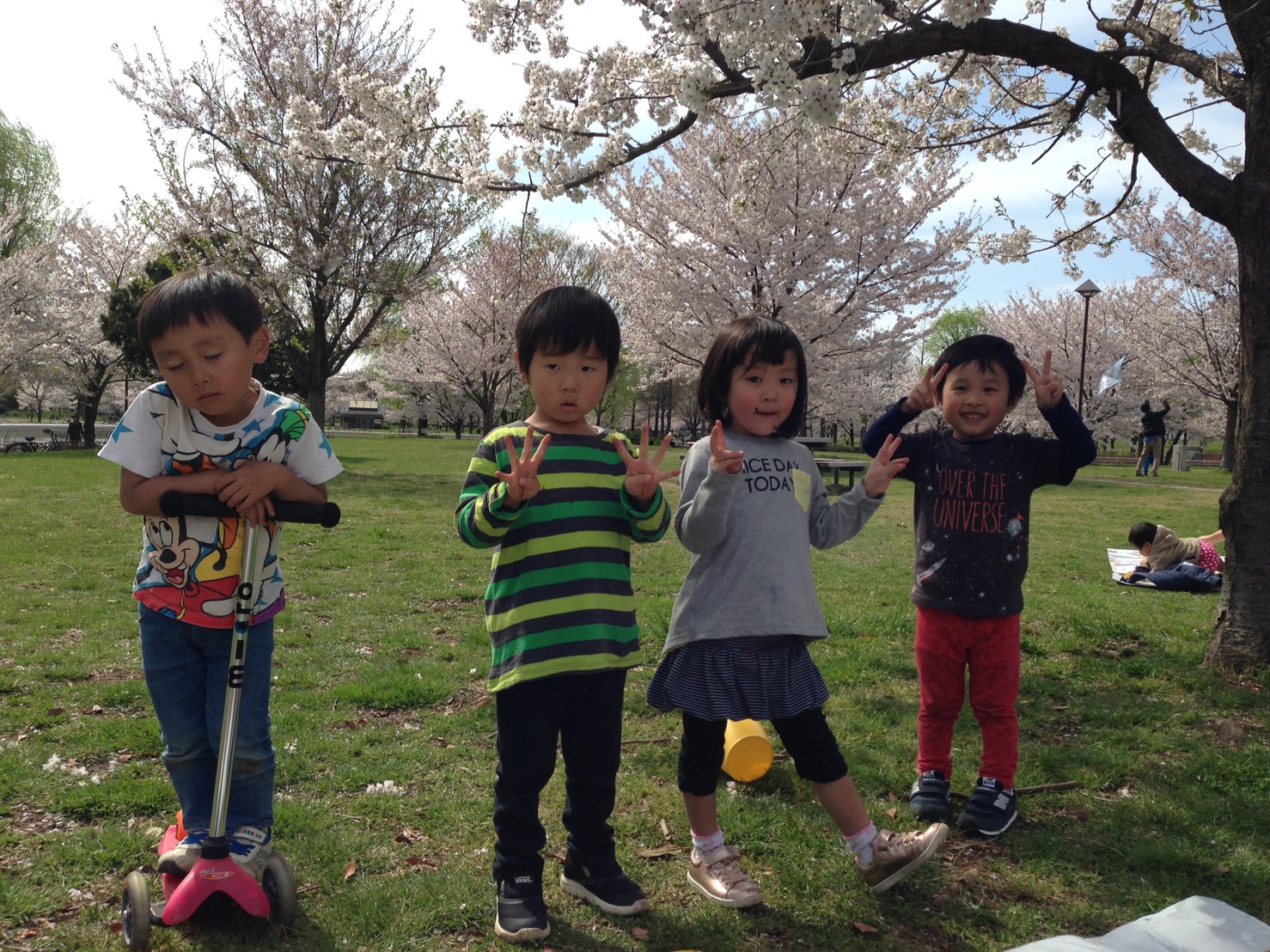 お花見ランチ会 In 舎人公園 桑原陽子 Okuta リフォーム マンションリフォームならlohas Studio ロハススタジオ Presented By Okuta オクタ