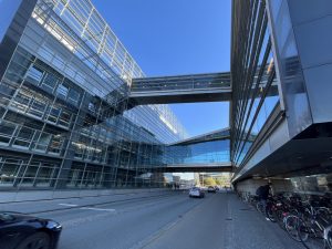 IMG_4221