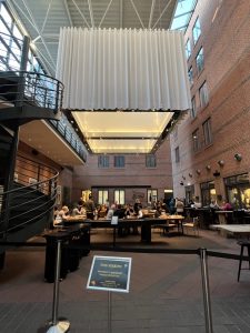 IMG_4231