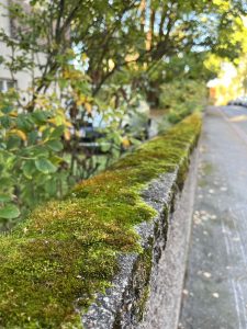 IMG_4477