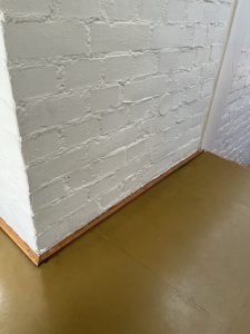 IMG_4565