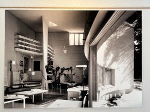 IMG_4569