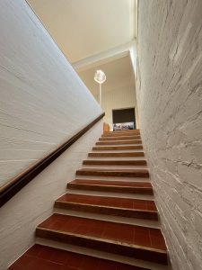IMG_4577