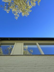 IMG_4591