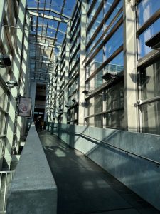 IMG_4621