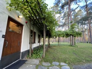 IMG_4669