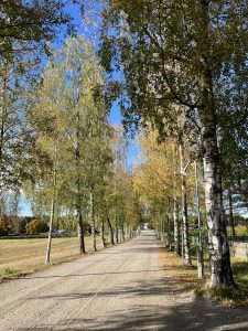 IMG_4700