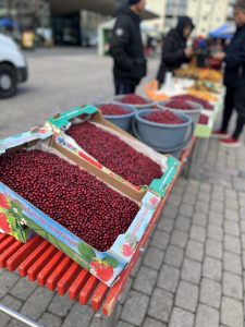 IMG_4705