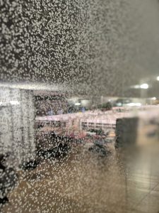IMG_4744