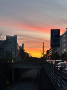 IMG_4752