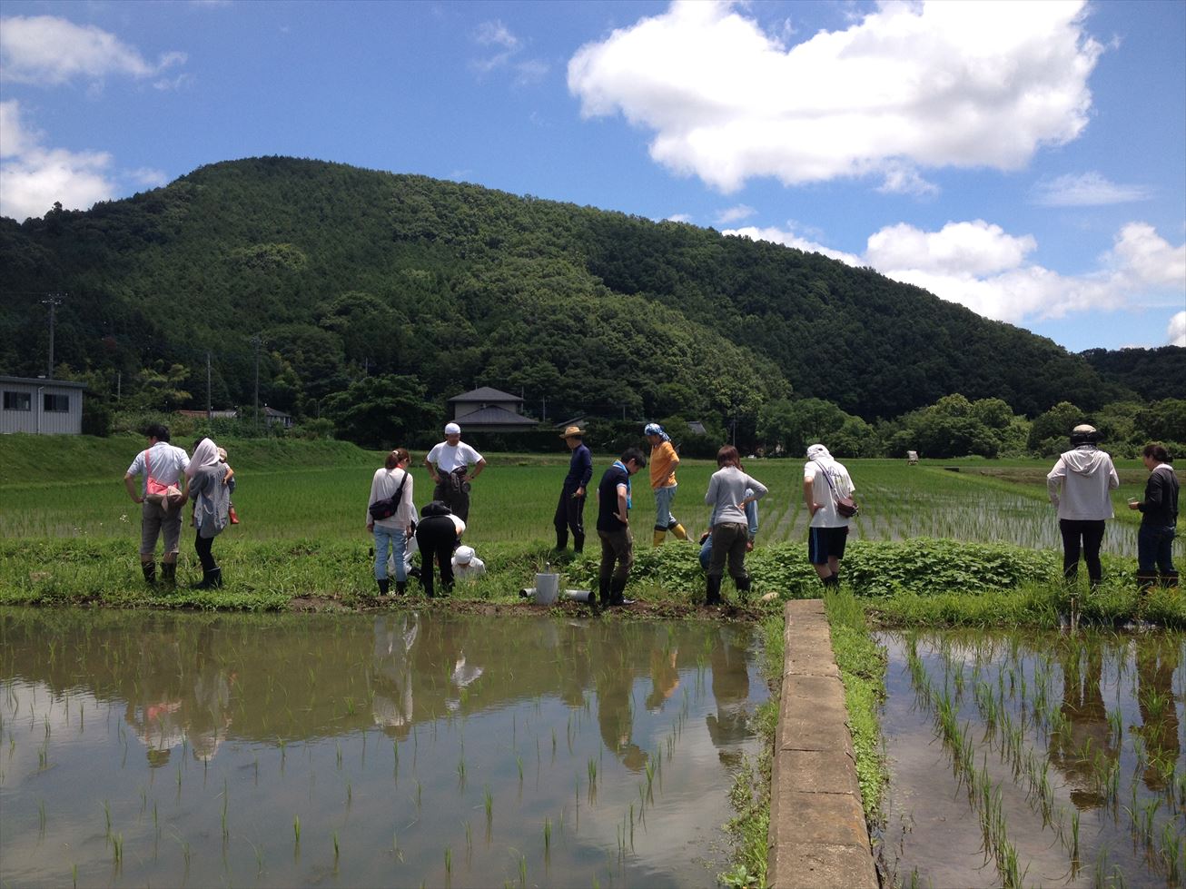 ＯＫＵＴＡの小川町での活動～6月沢掃除編～