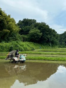 新人社員機械植え