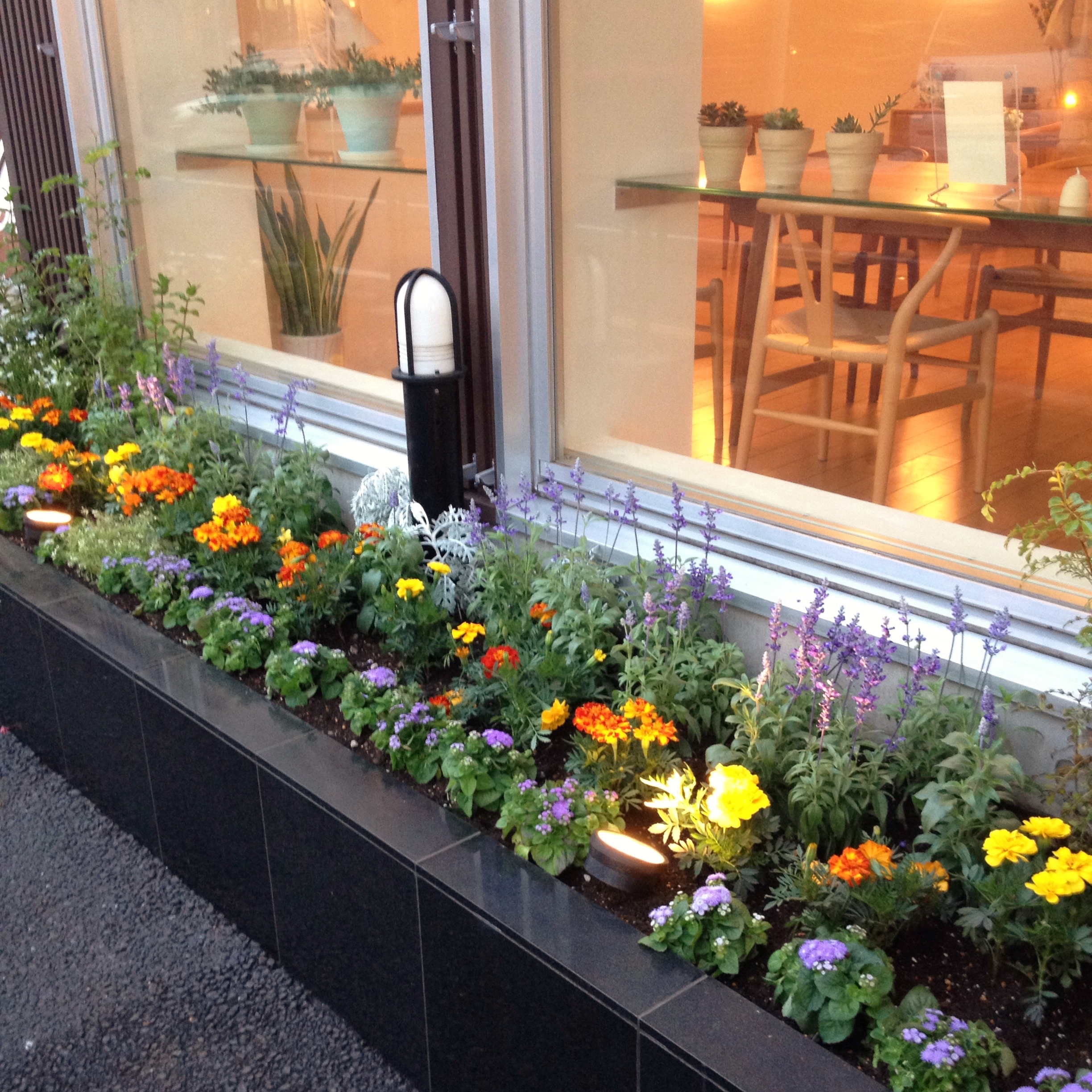 * 世田谷店スタッフで花壇の植替え ・ スタジオづくり *