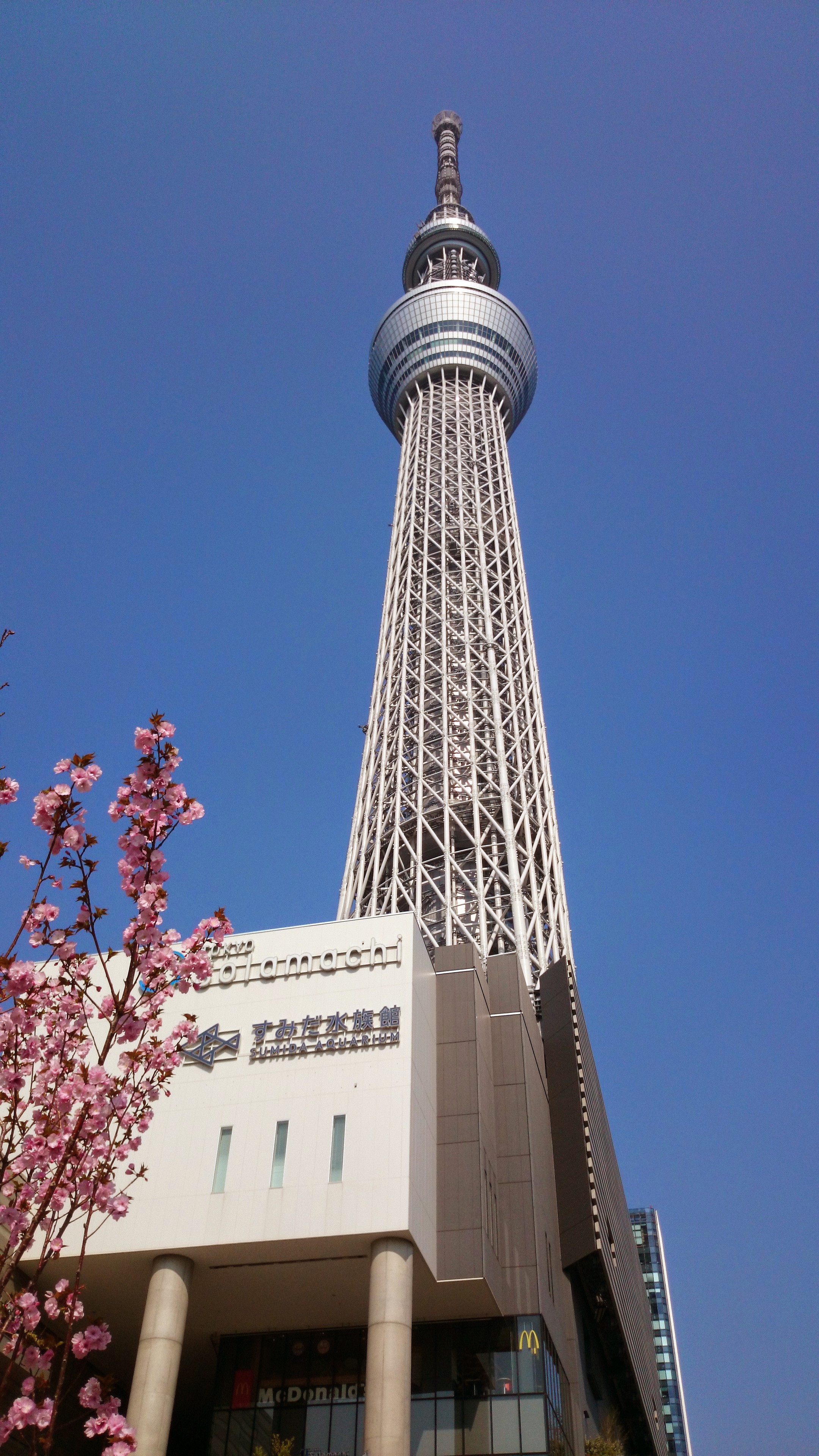 ～東京スカイツリーへ～