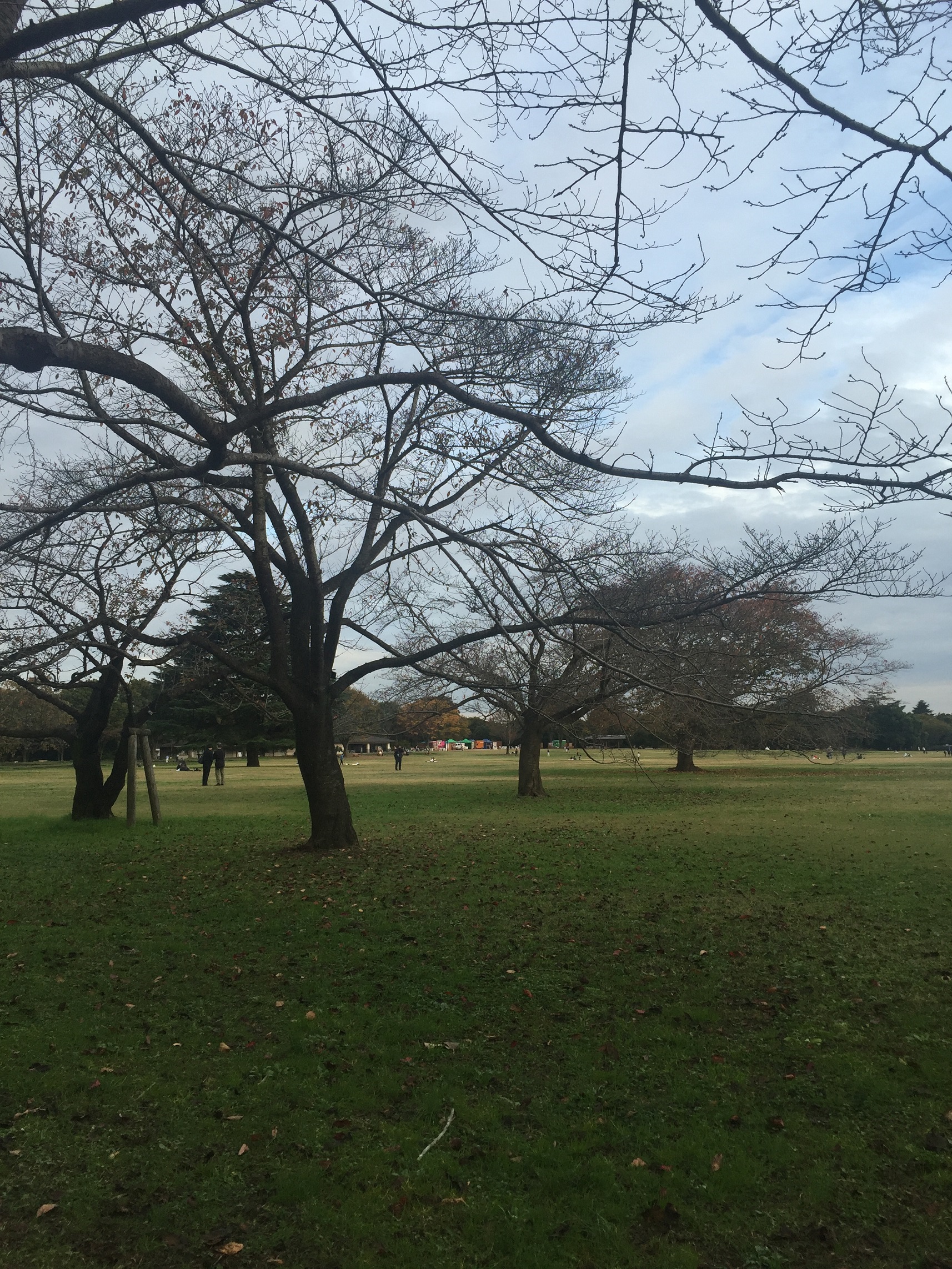 公園でホッと一息