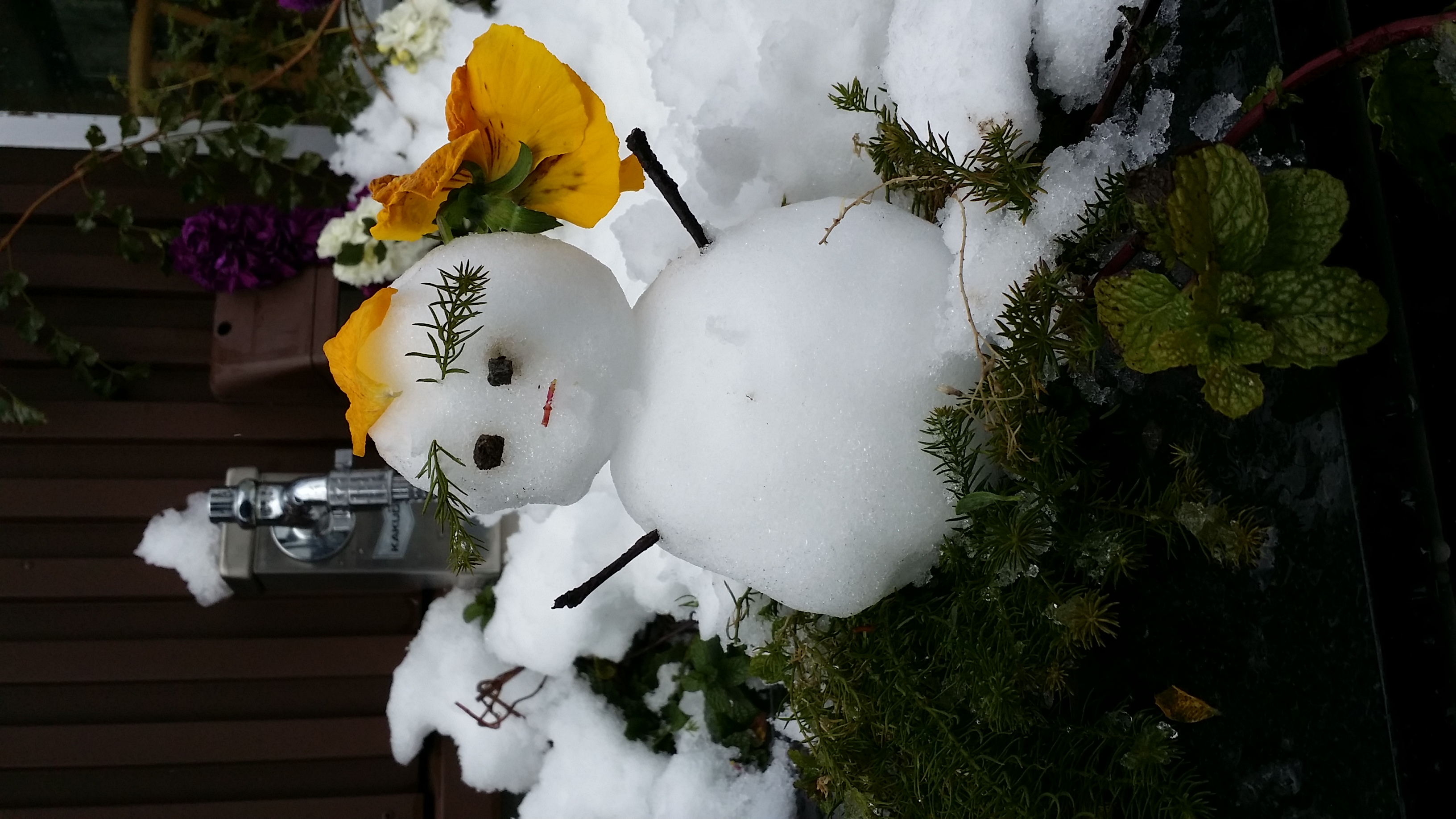 雪だるま