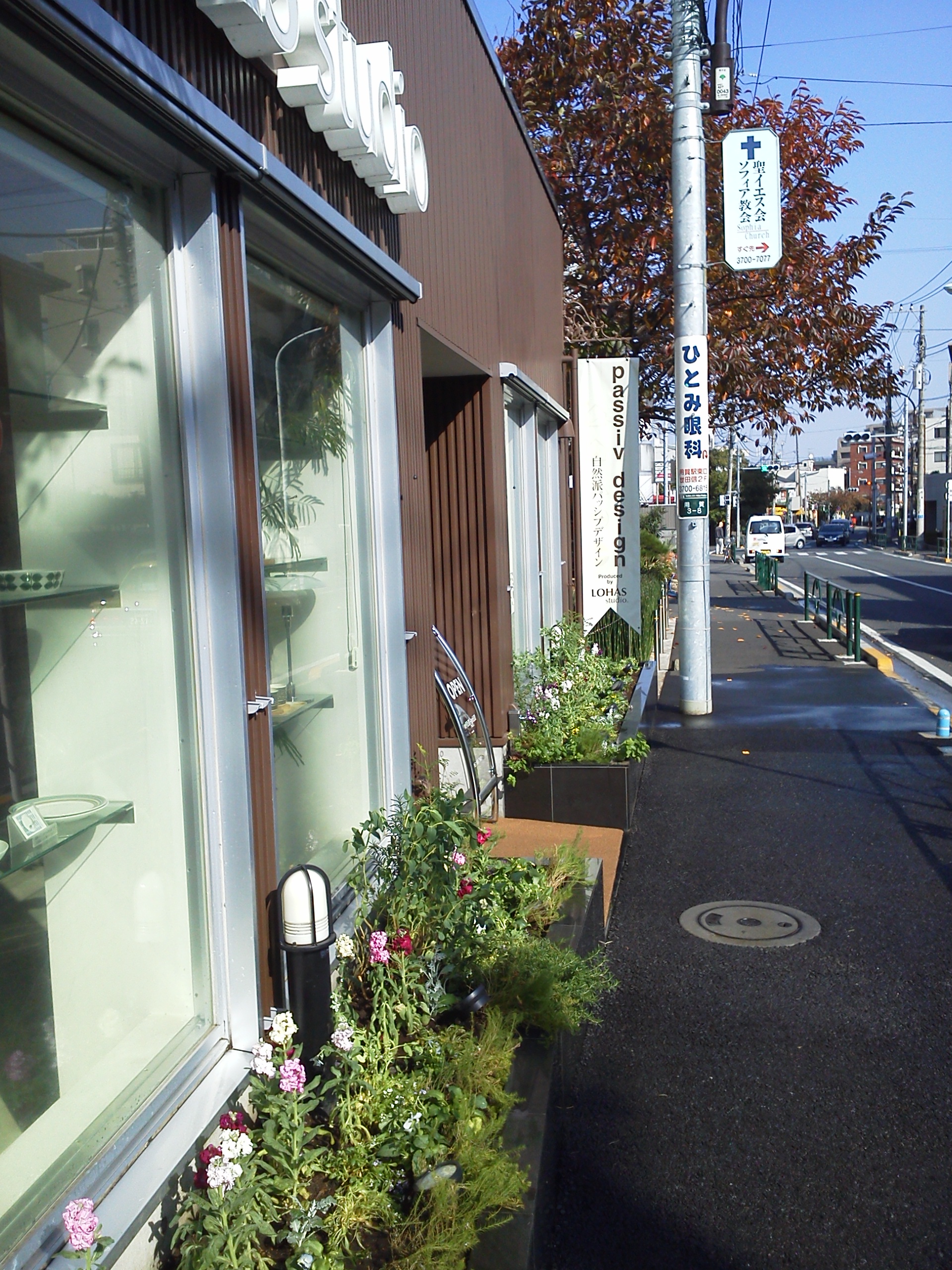 花壇の植替え