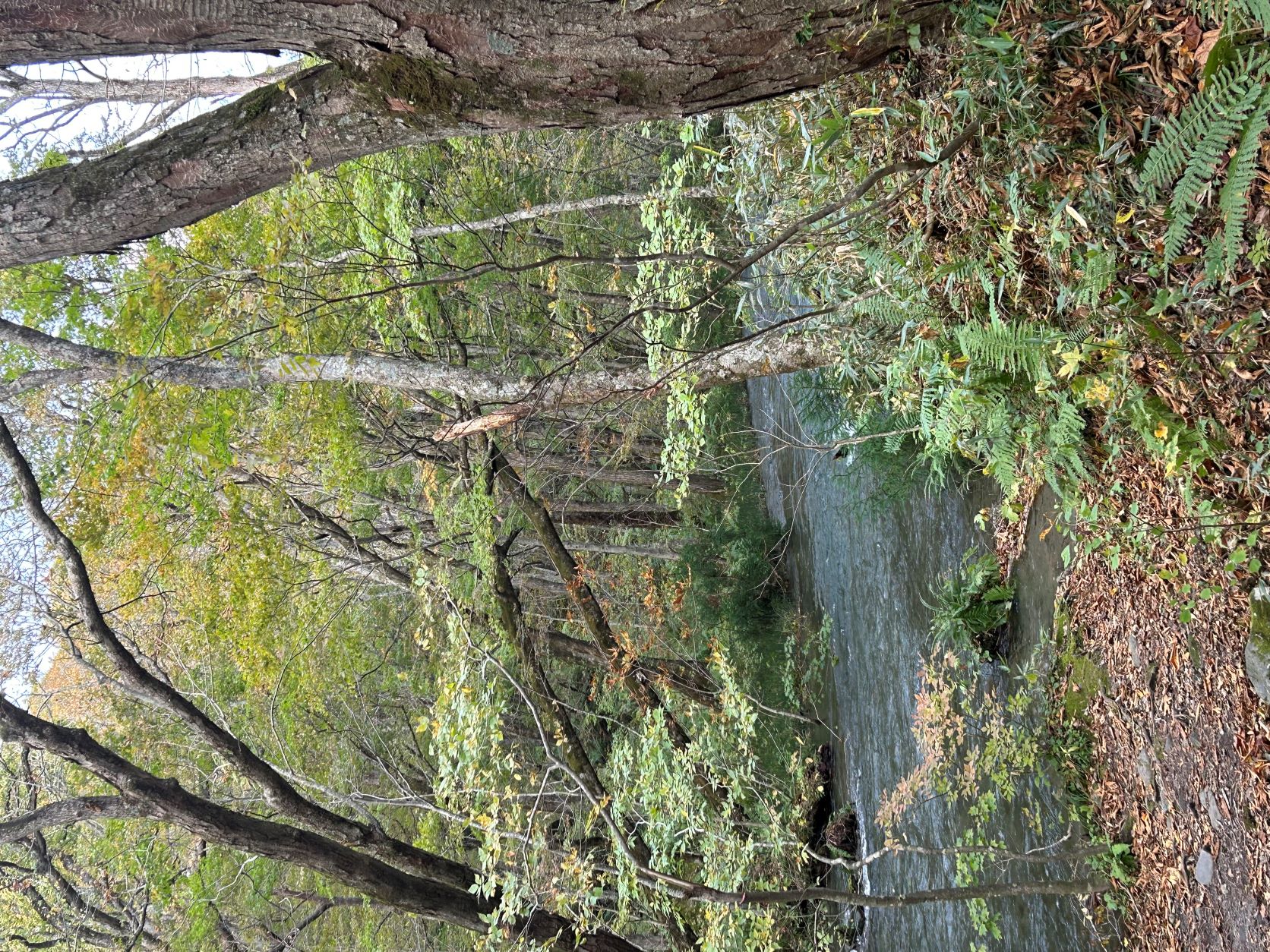 八甲田山／奥入瀬渓流／十和田湖&#x1f341;