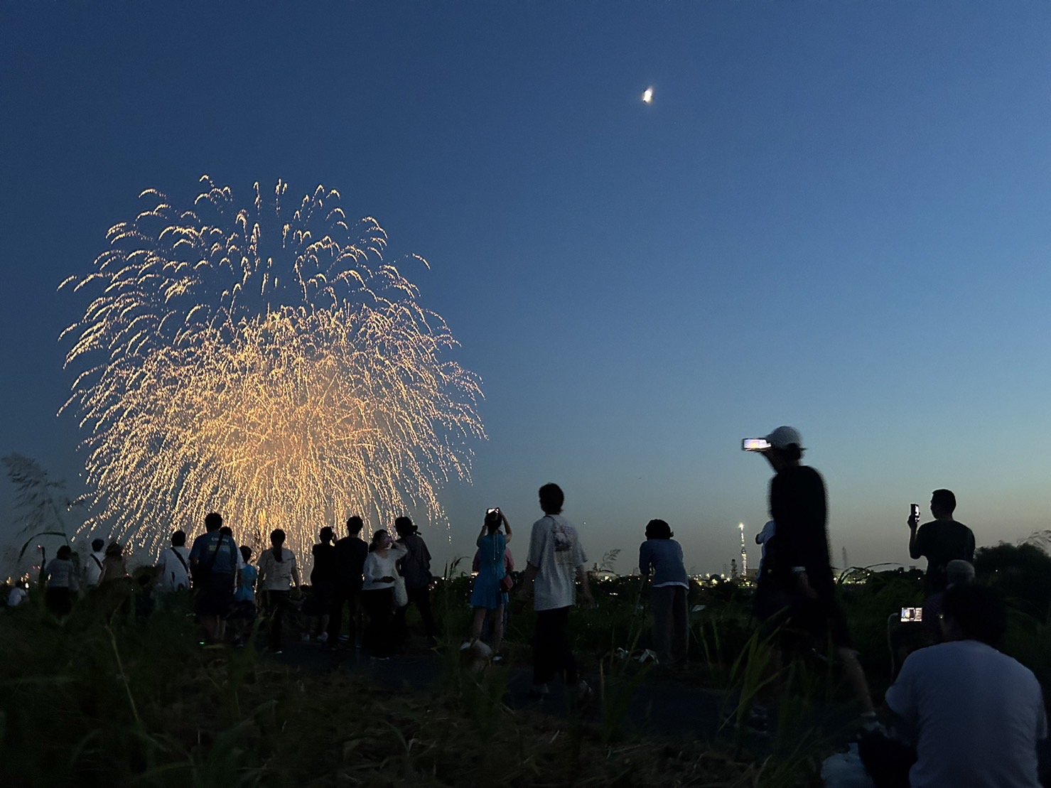 葛飾花火大会（2万発&#x1f386;）