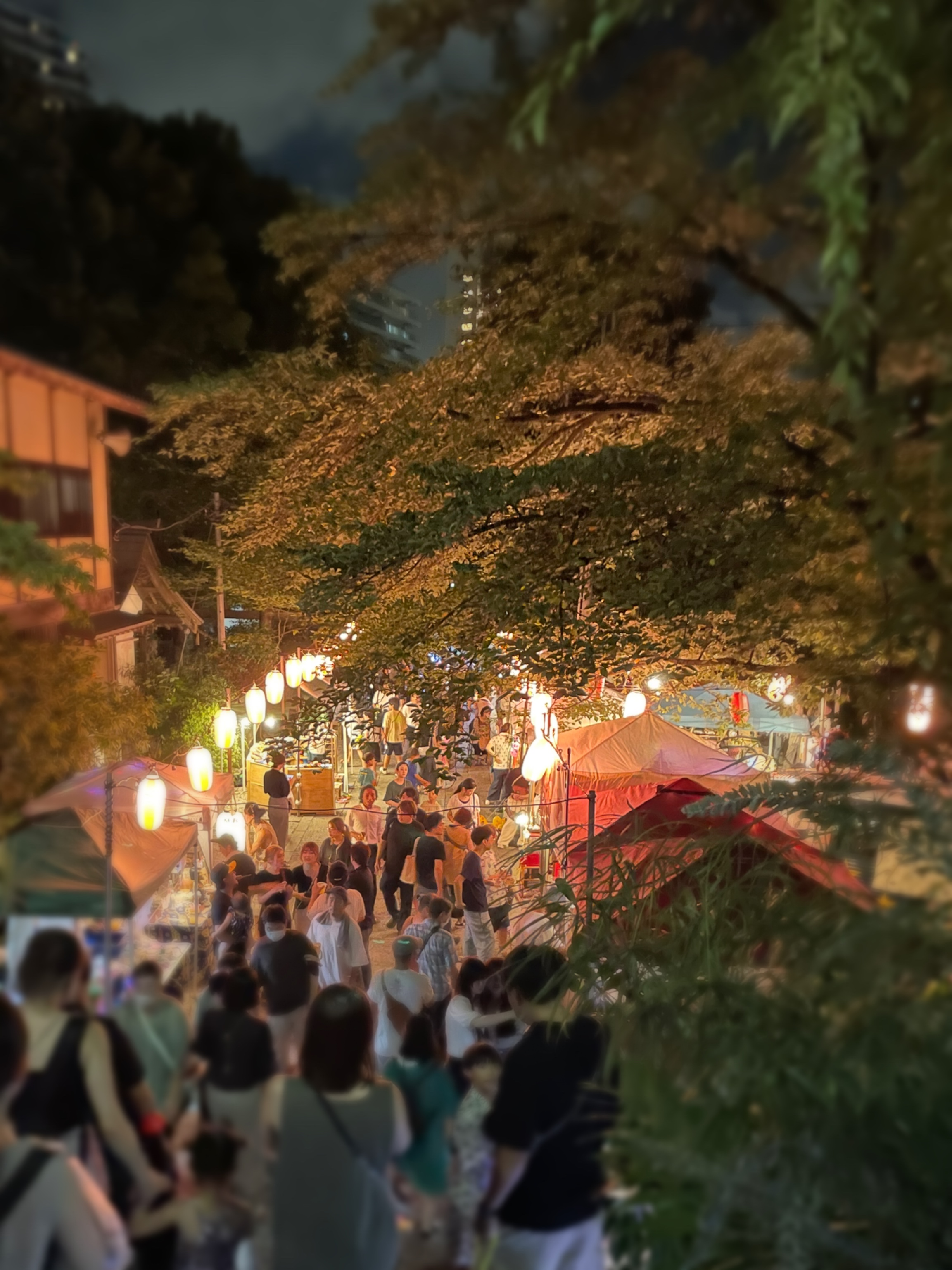 所澤神社の夏祭り