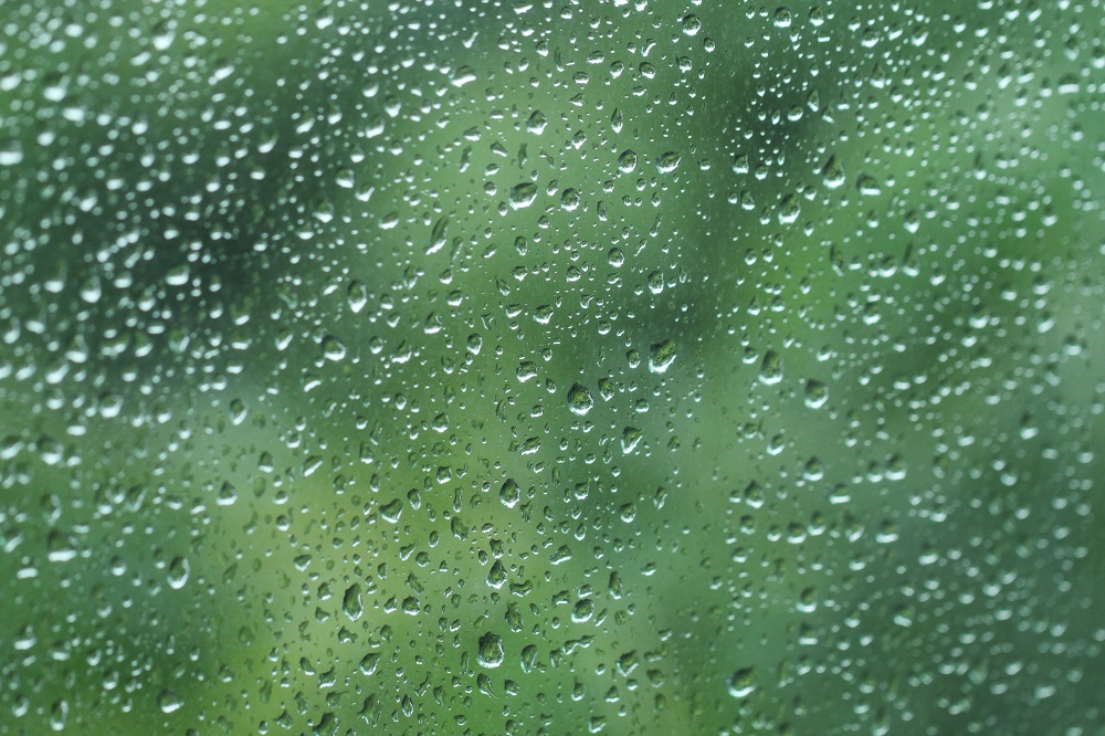 【梅雨の湿気対策】じめじめした梅雨を爽やかに乗り切る方法！